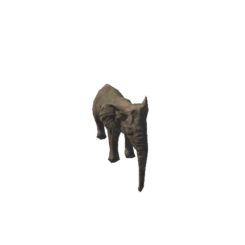 elephant_female_fv_rm_SLP (mat2)